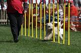 AGILITY - SAUT 012
